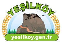 Yeşilköy Köyü Web Sitesi